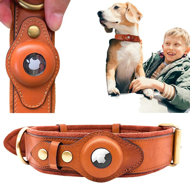 Collar de cuero para perros: AirTag