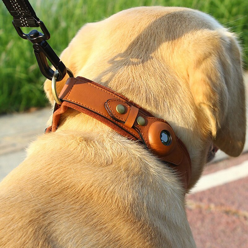 Collar de cuero para perros: AirTag