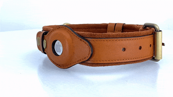 Collar de cuero para perros: AirTag